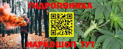 прущие грибы Комсомольск-на-Амуре